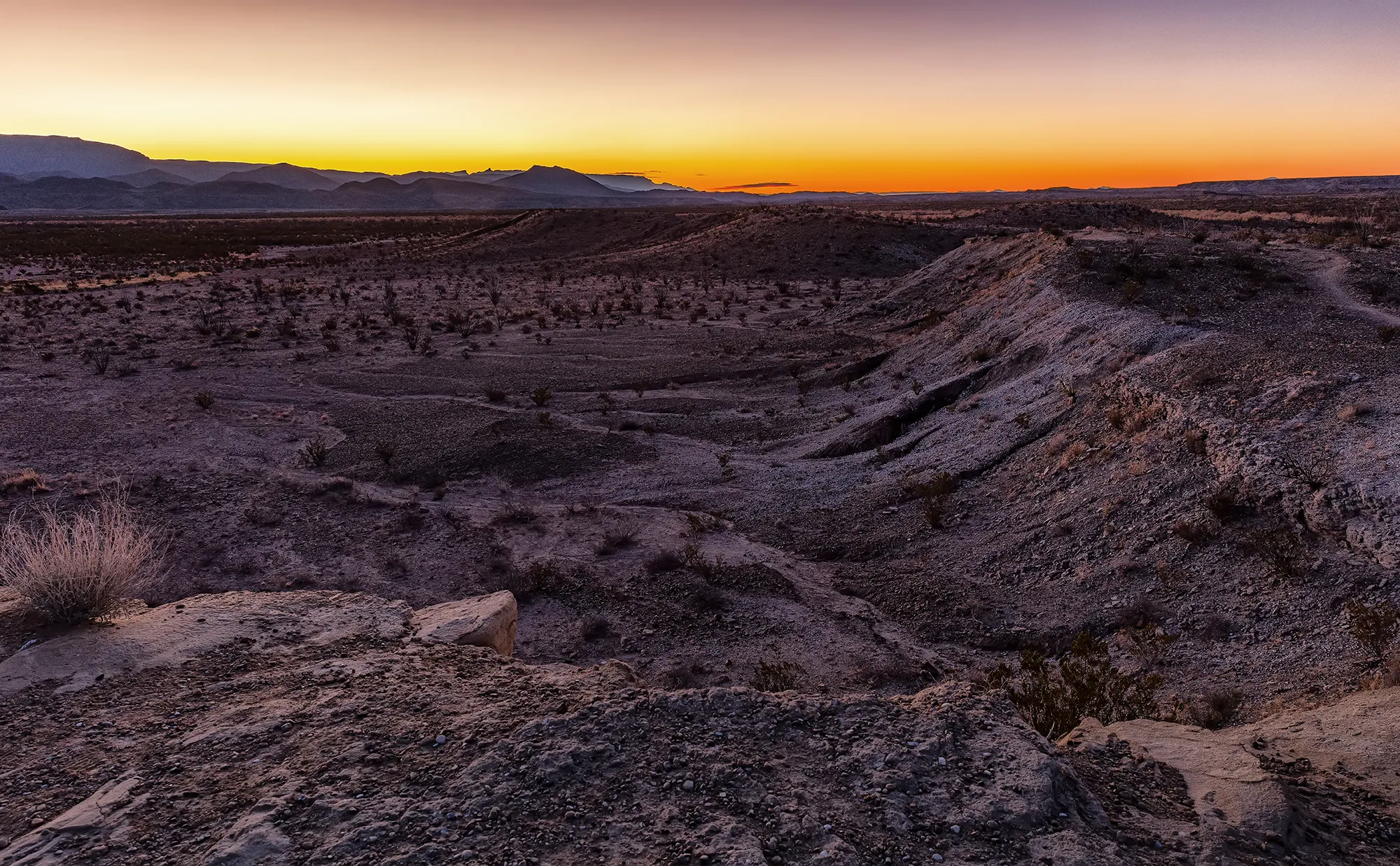 Sunrise over the Chihuahuan Desert in Big Bend, Texas. Photo by Rebecca Latson.