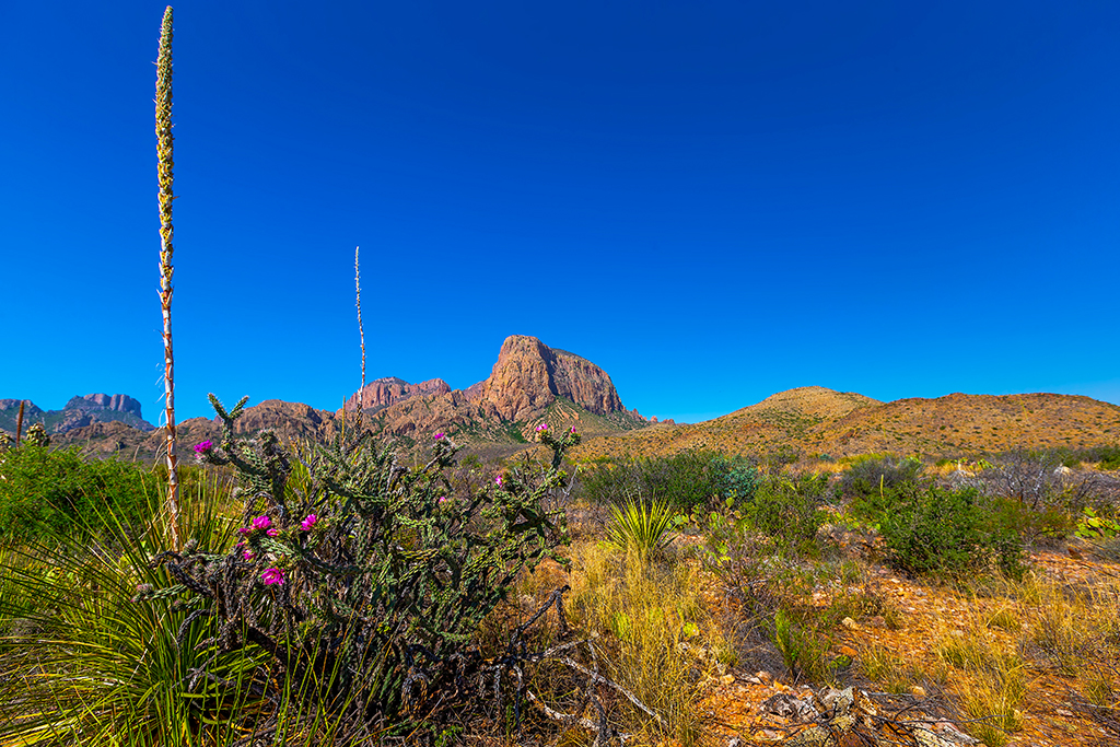 Congress was urged Thursday to reject funding a border wall through Big Bend National Park and Big Bend Ranch State Park/Rebecca Latson file.