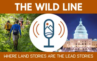 The Wild Line - Wild Idea Media
