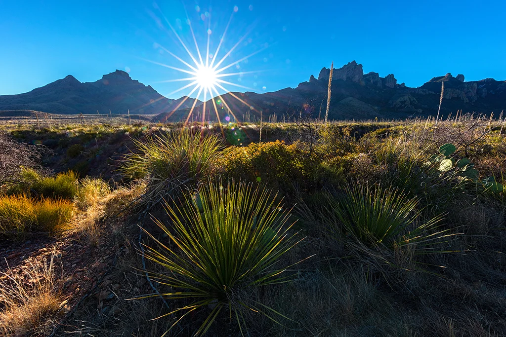 Texas judges are calling on DHS to increase transparency around plans for border wall construction in Big Bend / Rebecca Latson.