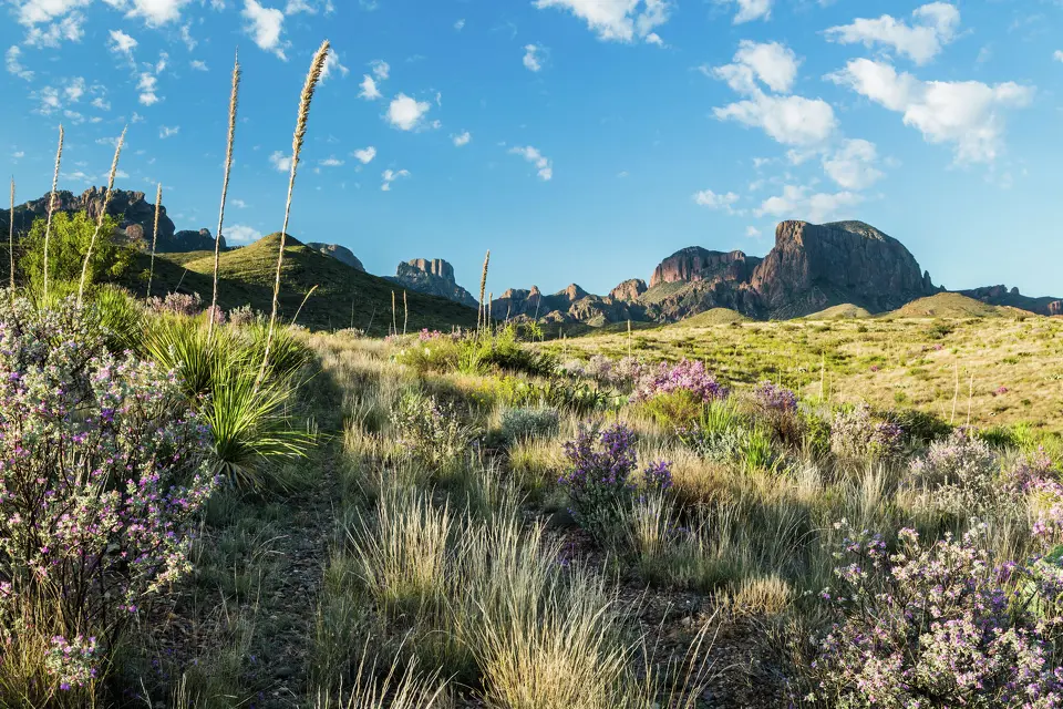Former Big Bend National Park leaders are warning against proposed border infrastructure projects in the West Texas region.