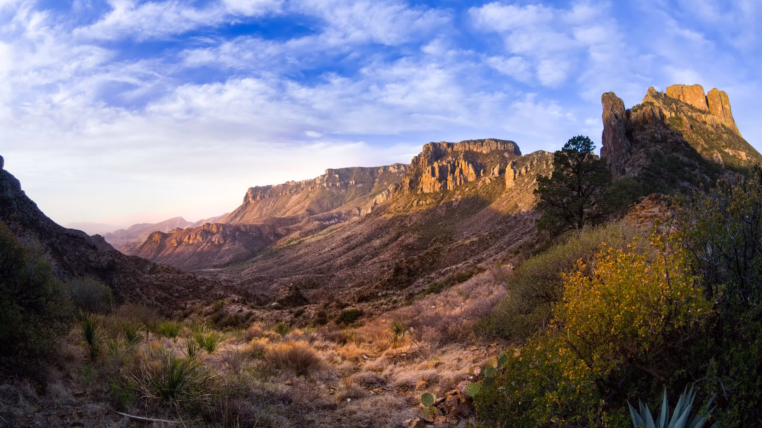 Desert landscape. Shutterstock photo.