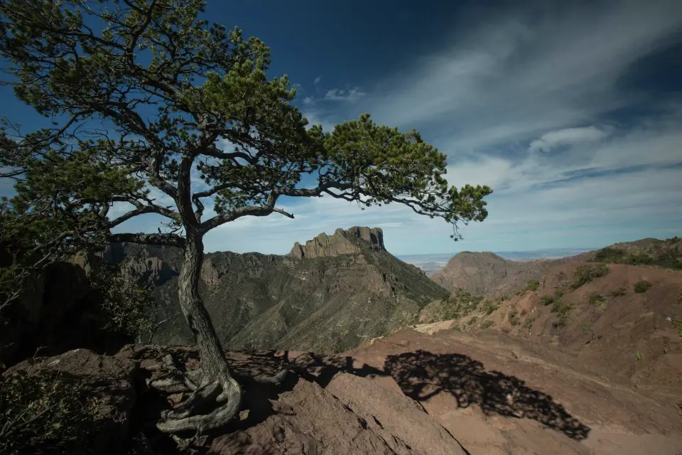 More than a half-million people visit Big Bend National Park each year. The plans for miles of 4-foot-tall metal barriers through the park, part of the Trump administration's border security infrastructure, would bring permanent changes to a timeless landscape. Austin American-Statesman